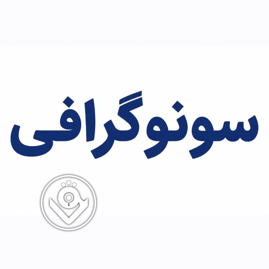 دکتر محمد حسنیان