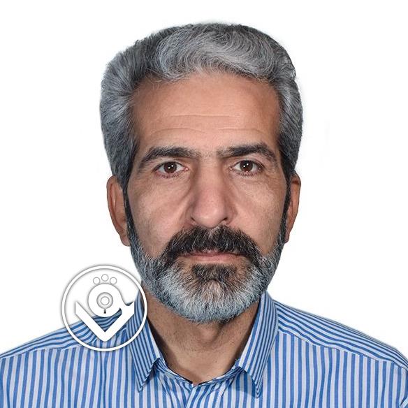 مهدی برهانی