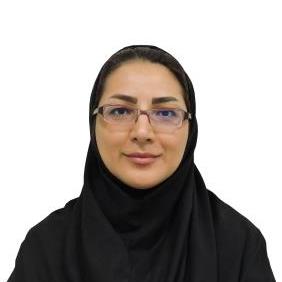تصویر پروفایل شروین مهدی زاده تهرانی - دکتر در سرباز
