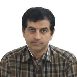 دکتر سیدمحمدمهدی حقی