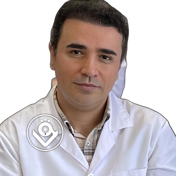 وحید زرین تن