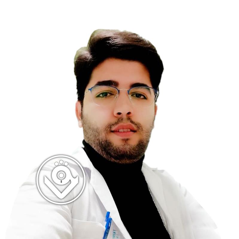 میرمرتضی عصمتی