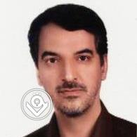 سید مجتبی صفوی